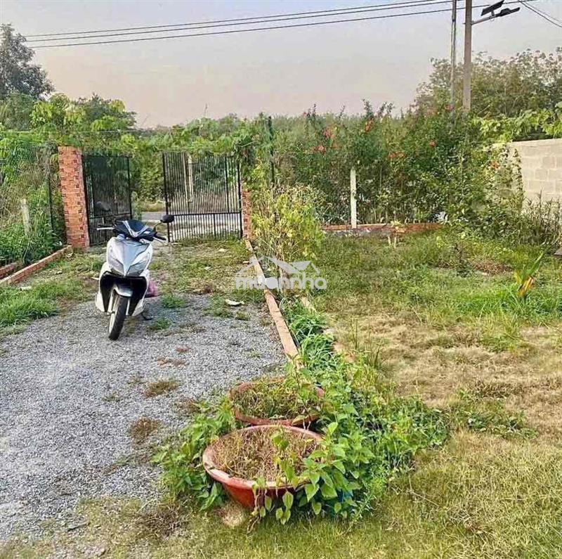 Đất giá rẻ