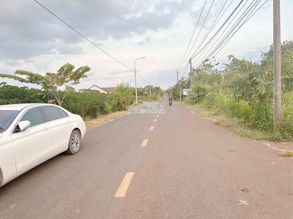 Mt xuân đông - xuân tây, cẩm mỹ, đồng nai - 4