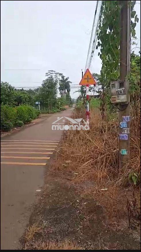 Đất nền thổ cư tại phường sông thao, tỉnh đồng nai, 100m² giá 1,5 tỷ - 3