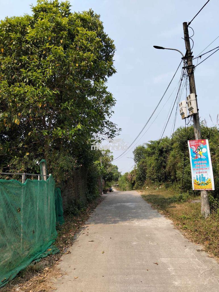 Lô đất quy chủ 220m2  k 129 vũ lăng. đà nẵng - 4