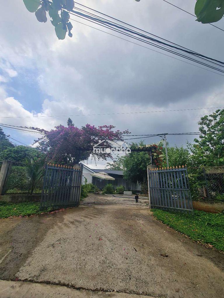 Chính chủ cần bán gấp