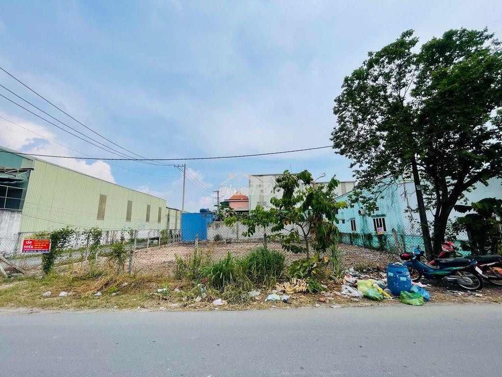 🏡 Bán lô góc 2 mặt tiền đường nhựa – vị trí đẹp hiếm có tại củ chi - 3