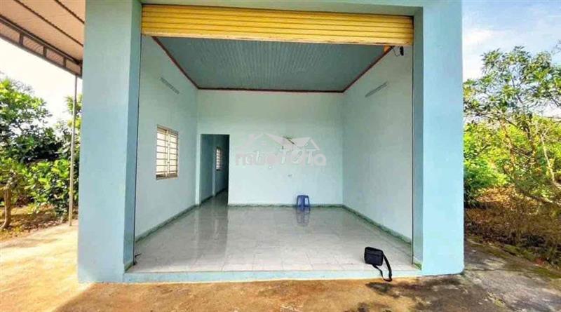 Chú 3 kẹt tiền vừa bán vườn vừa tặng nhà