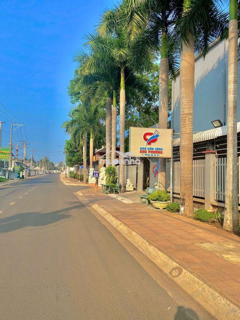 Nền trung tâm long khánh cách hồ thị hương 500m - 3