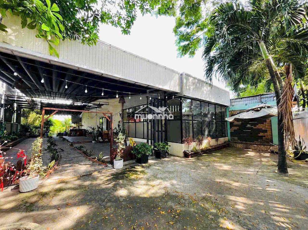 Mặt bằng ngang 14( 660m2) nằm ngay trung tâm thủ dầu một - 2