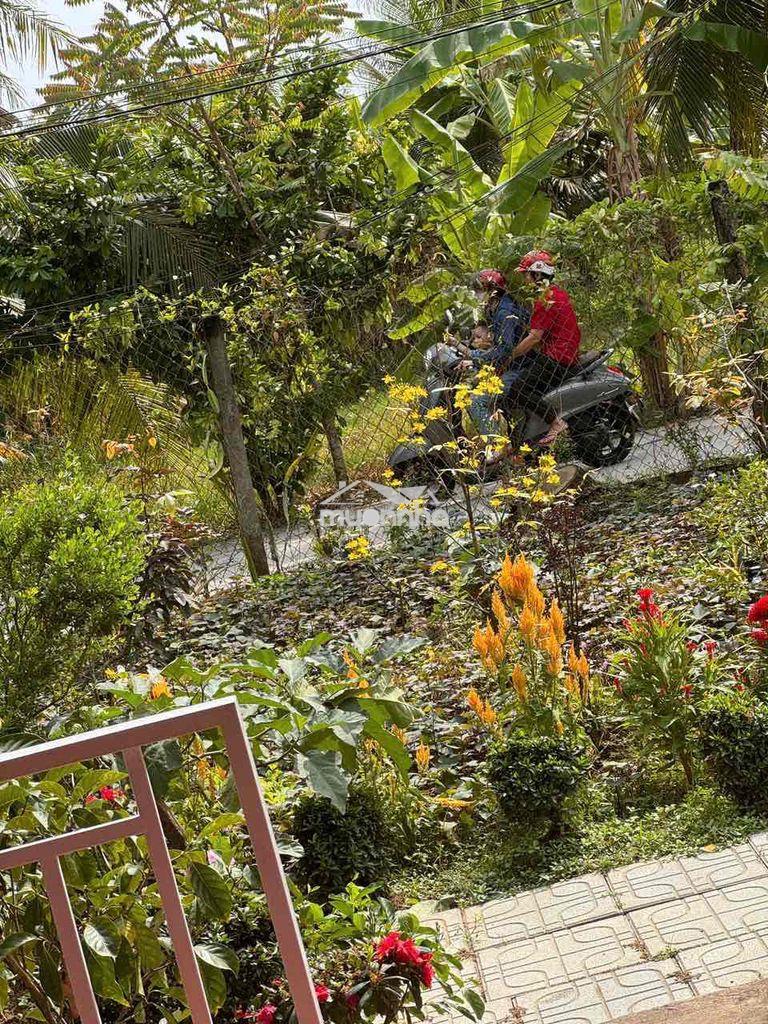 Đất sơn đông bến tre - 3