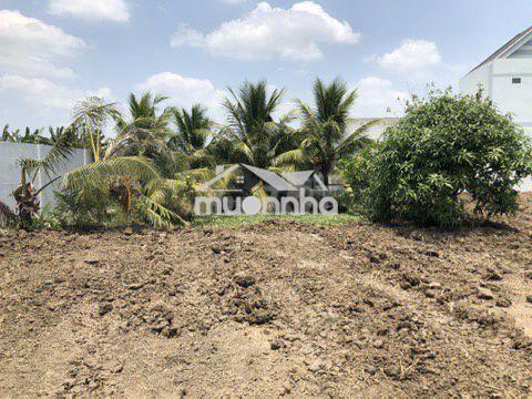 Cho thuê đất 1000m2 làm kho xưởng tại nhựt tảo, tây ninh, giá tốt - 4