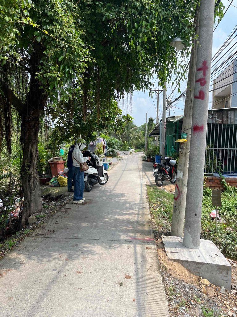 Bán nhà cấp 4 bình chánh 169m2 sổ riêng - 3