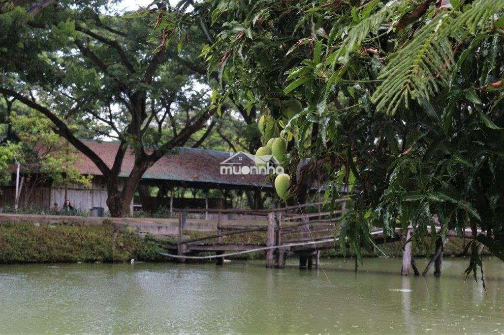 Bán khu du lịch sinh thái trung thành nam, xã hàm liêm - 2