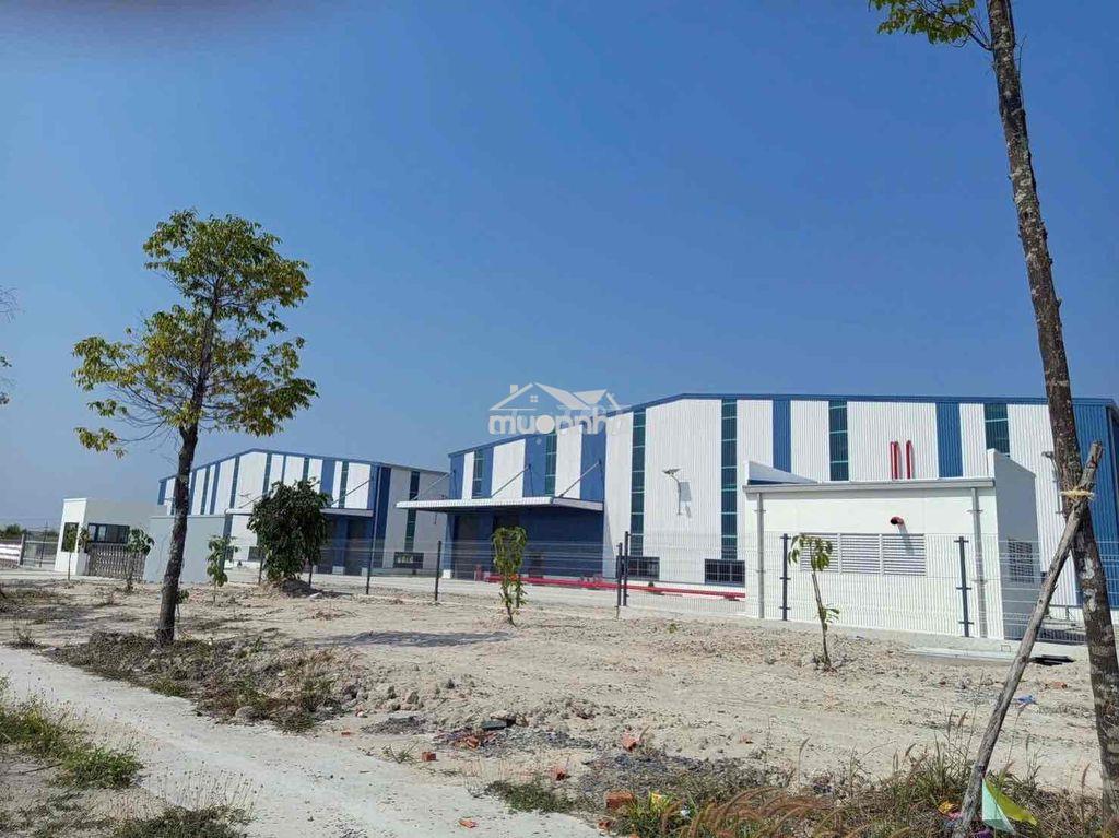 ❇️Cho thuê xưởng 8500m tân uyên - 2