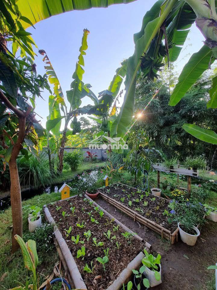 🌿 Đất vườn view hồ trị an – không gian yên bình, giá chỉ 999 triệu/sào - 4