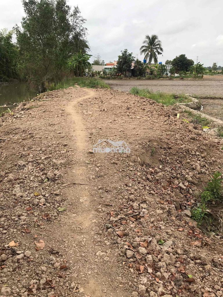 Cần bán gấp đất lúa 3.472m2 gá rẻ - 4