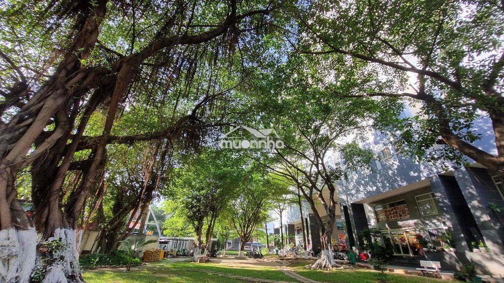 Cần cho thuê căn hộ chung cư dreamhome, gò vấp - 2