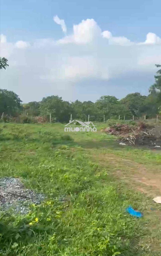 Đất mặt tiền sông hoả, 2100m2, gấp bán chỉ 3.5 tỷ - 2