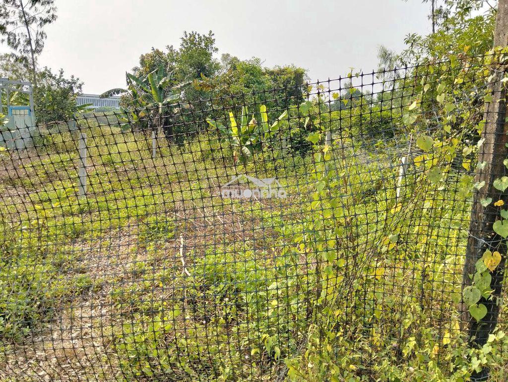 Lô đất quy chủ 220m2  k 129 vũ lăng. đà nẵng - 2