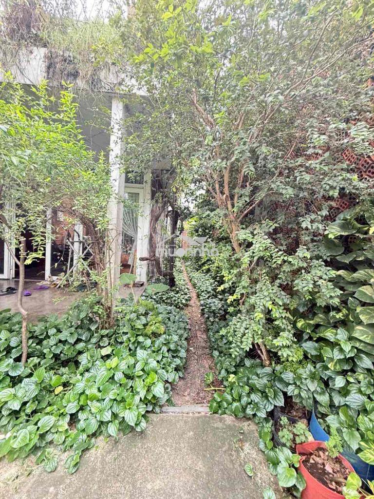 Bán nhà mặt tiền đường lý thường kiệt có thể thương lượng - 3