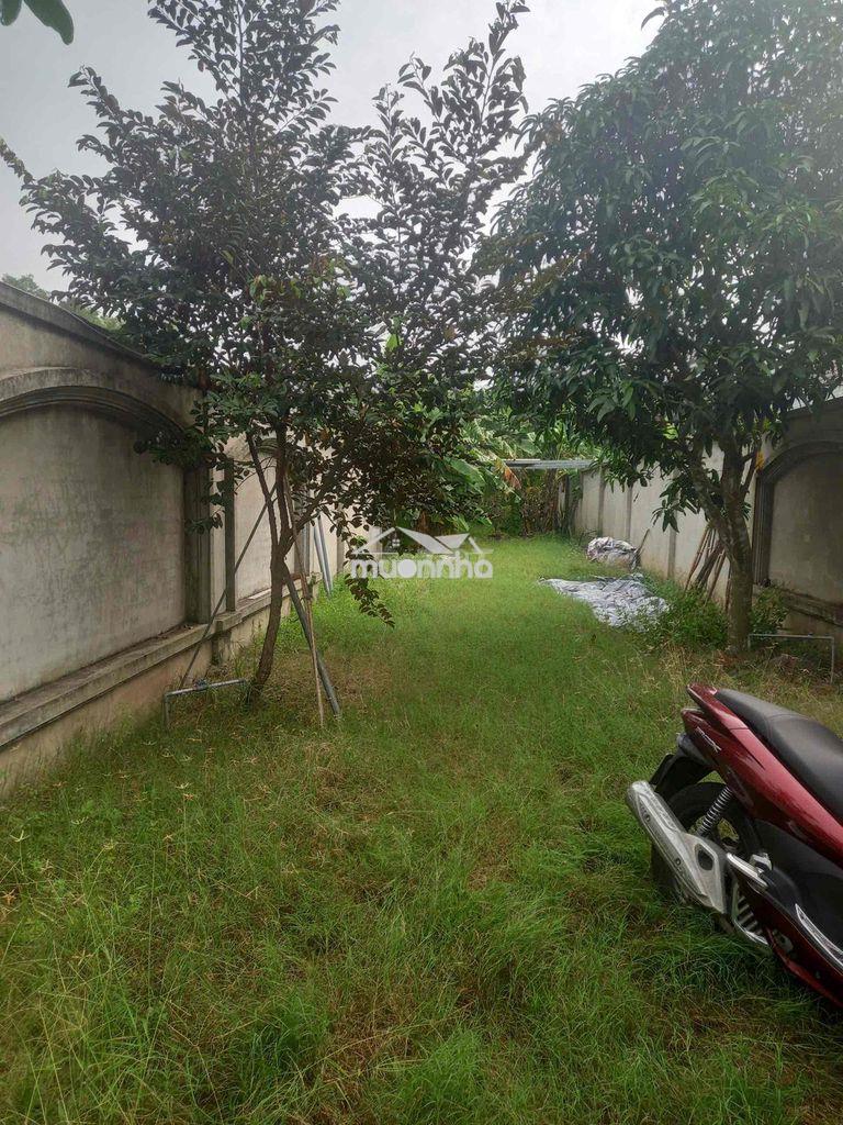 Nhà vườn 300m2 củ chi , cần bán gấp , 2 tỷ 8 thương lượng - 4