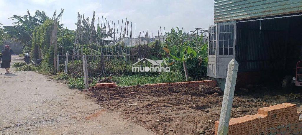 Đất hẻm ô tô thông, khu dân cư hiện hữu bình mỹ, củ chi. - 3