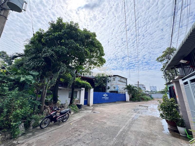 Bán xưởng 3000m2 trần văn ơn dĩ an, bình dương - ngang 35m