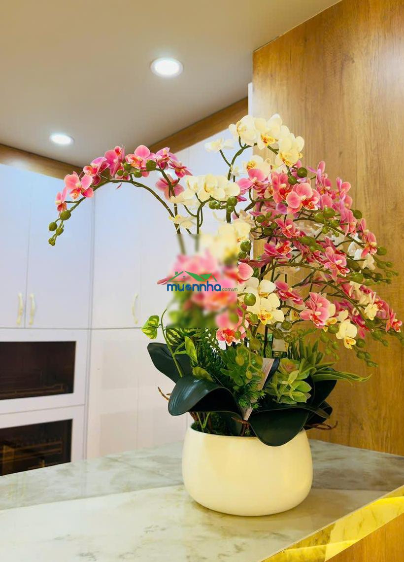 Bán nhà hẻm xe hơi căn góc 2 mt nguyễn tri phương quận 10 (7.5x10m vuông vức) chỉ 17tỷ - 3
