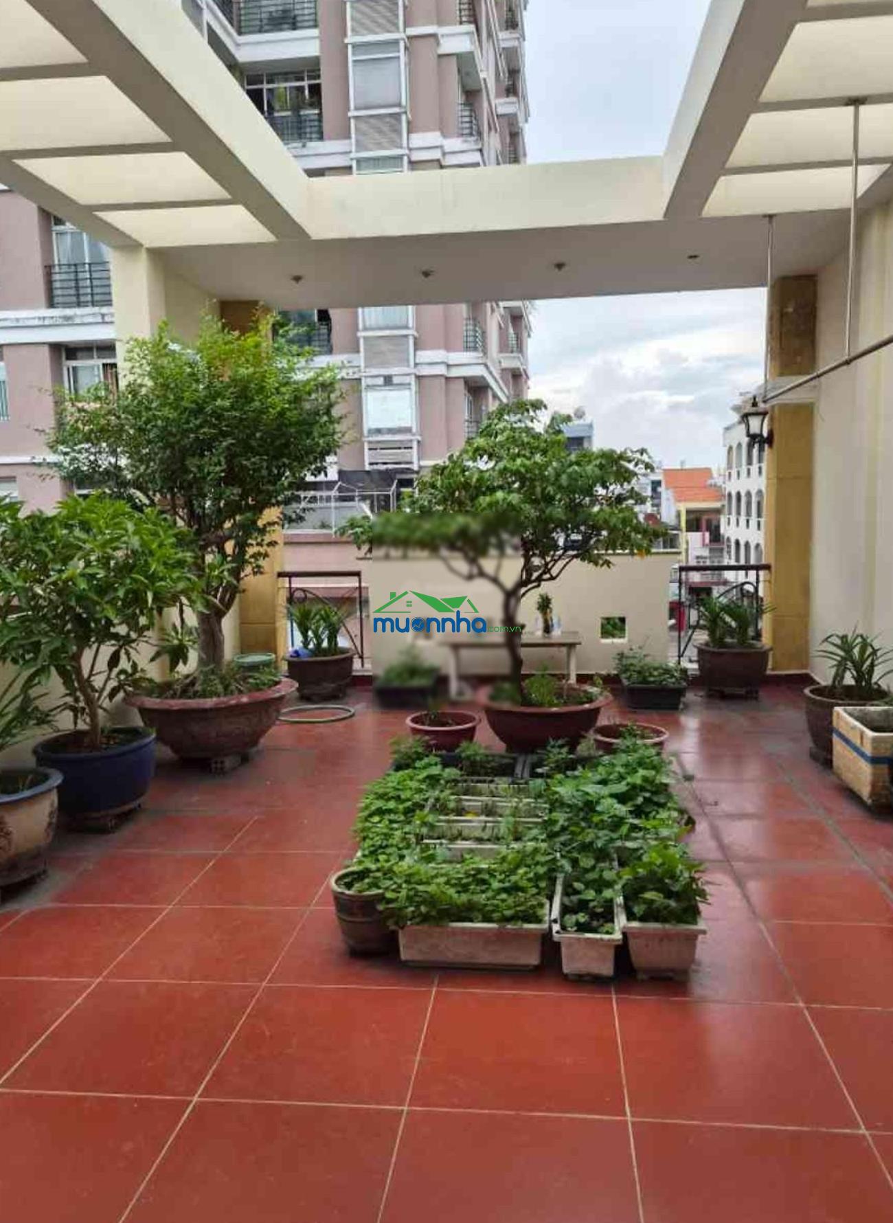 Hàng hiếm quận 11 - cư xá lữ gia - lý thường kiệt - 106 m² ngang (4.6x24.5) - 4 tầng chỉ 24.5 tỷ - 4