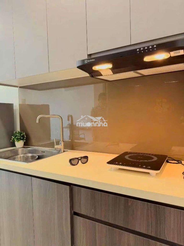 Căn hộ lavida plus_ đối diện vivocity,gần rmit,đh tôn đức thắng
