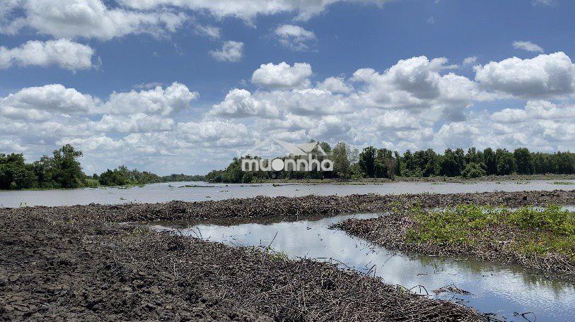 Bán đất view sông vàm cỏ tây thủ thừa long an - 2