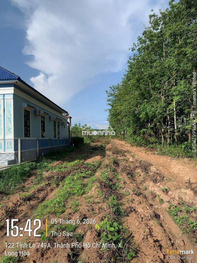(Chính chủ bán) 3632m2 đất mặt tiền dt749a,tp.hcm. - 3