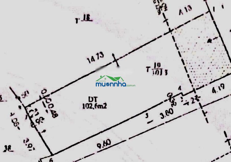 Nhà ngang 6m hẻm xe hơi tô hiến thành, 6x19m, 3 tầng, 6pn. giảm gấp 2 tỷ còn nhỉnh 20 tỷ, shr - 2