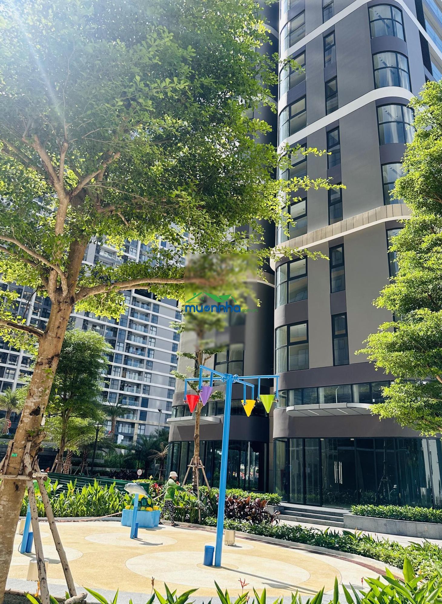 Studio beverly view trực diện hồ bơi