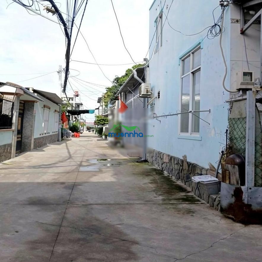 Bán đất tặng nhà cấp 4, mặt ngang khủng 11.5m, 2 mặt thoáng, 180m2 - 3