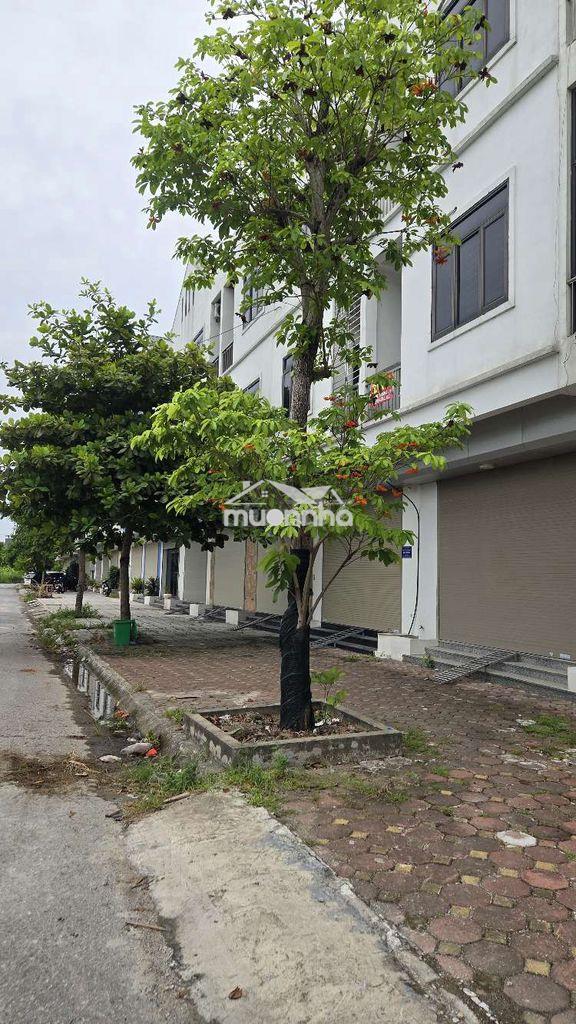 Bán đất, cho ai có thiện chí.  - 3