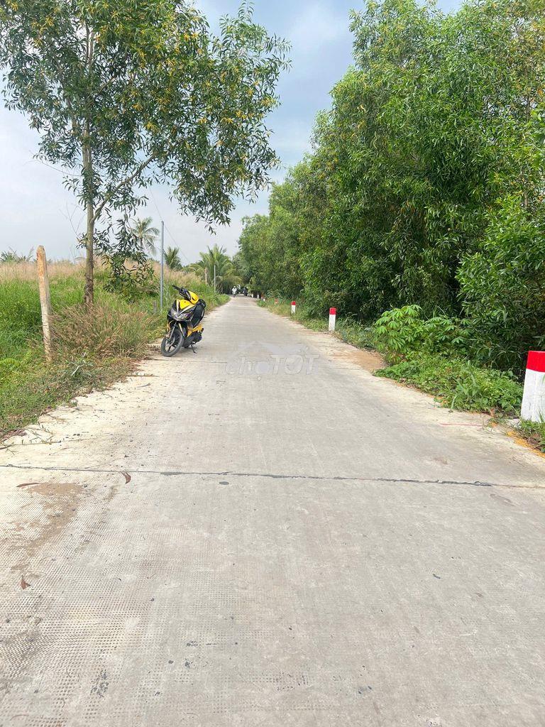 Đất xây nhà vườn n2 - 4