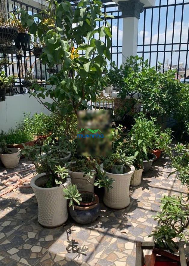 Nhà 3 tầng, hẻm ô tô 6m, cách 200m ra cầu phú xuân, 54m, 4pn, giá 6,1 tỷ (tl) - 4