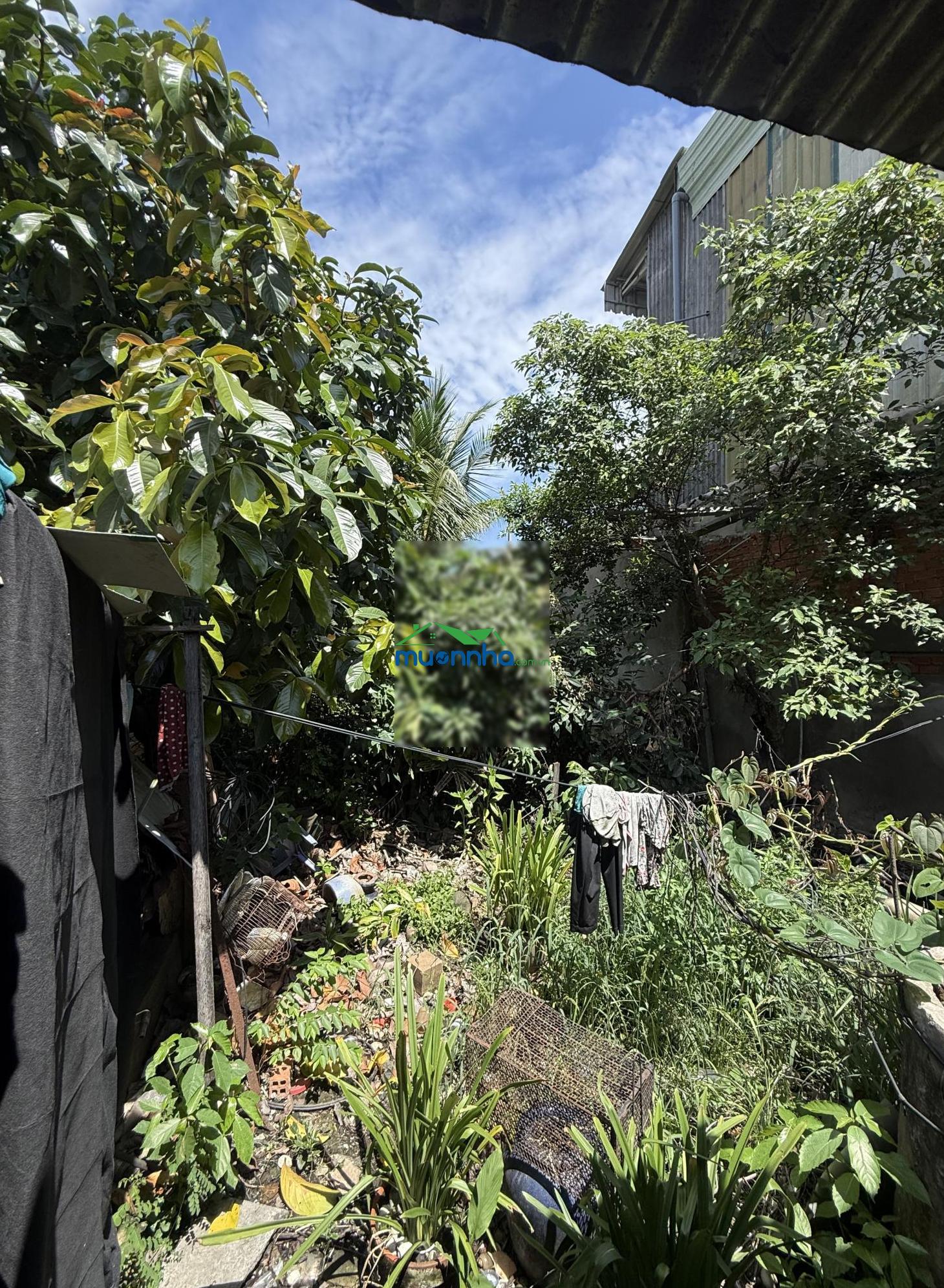 Bán nhà vườn 1.330m2, an phú đông, quận 12 - 3