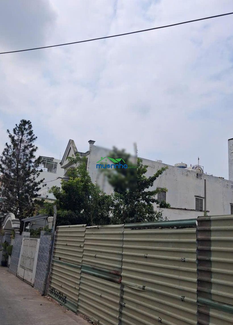 Ngộp bank! bán gấp khuôn đất siêu rẻ trường chinh tân bình, 9.4x27m, giá 79tr/m2, chỉ 19.5 tỷ. - 2