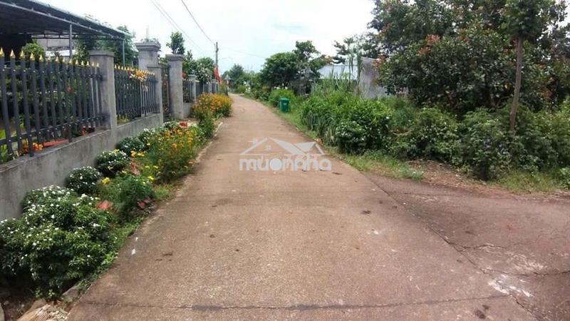 Chính chủ bán đất 2mt ( xuân tây cũ ), cẩm mỹ, cách dt765 chỉ 50m