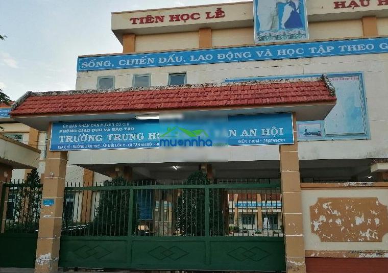 Đang ngộp bán gấp căn 100m2, giá 900 triệu ở xã tân an hội, huyện củ chi, có sổ hồng riêng - 3