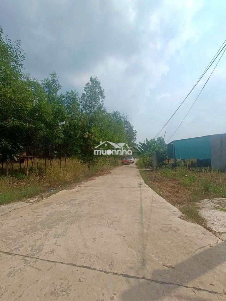 Bán lô đất hẻm xe hơi thị xã chơn thành , 5.06×38 , 190m2 . 598 triệu