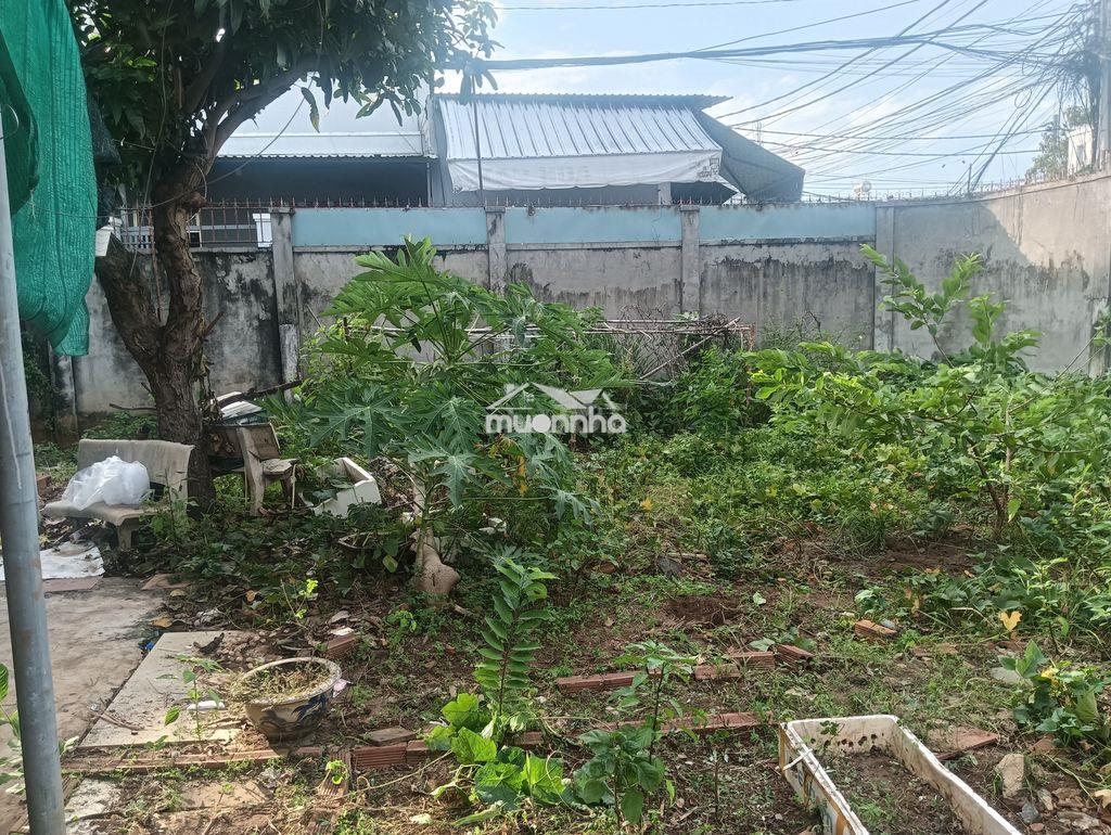 Cho thuê nhà vườn đa năng 4 trong 1 (ở+kinh doanh+kho+nông trại)_318m² - 4