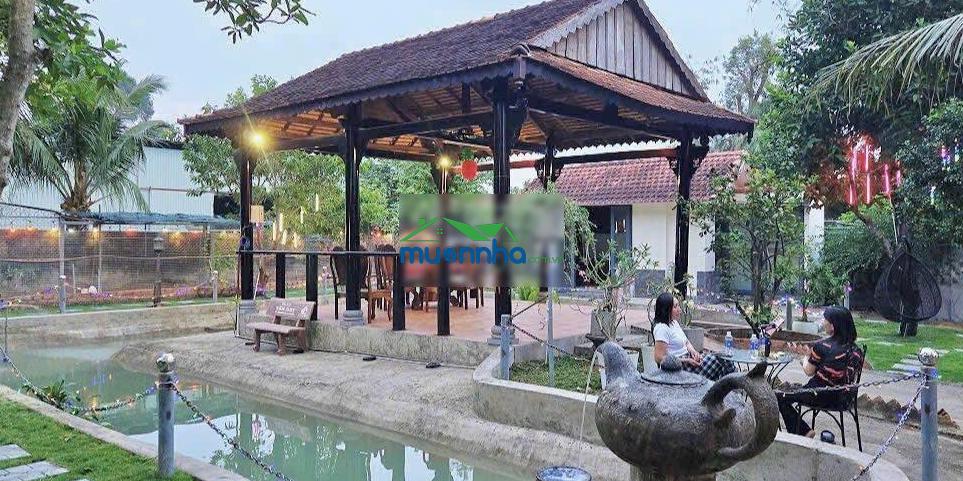 Bán gấp: nhà sân vườn 15x37m, 610m2, 2 phòng ngủ, võ văn điều, thái mỹ, chỉ 960 triệu, sổ riêng - 4
