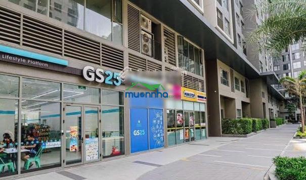 Mở bán shophouse độc bản gladia heights sở hữu lâu dài, hỗ trợ hd thuê 6 năm - 4