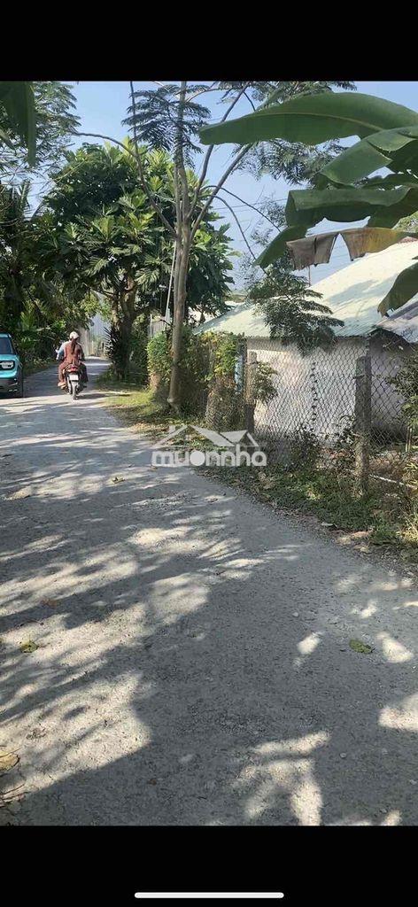 Bán đất thổ cư lớn mặt tiền đường nhựa đường nhựa