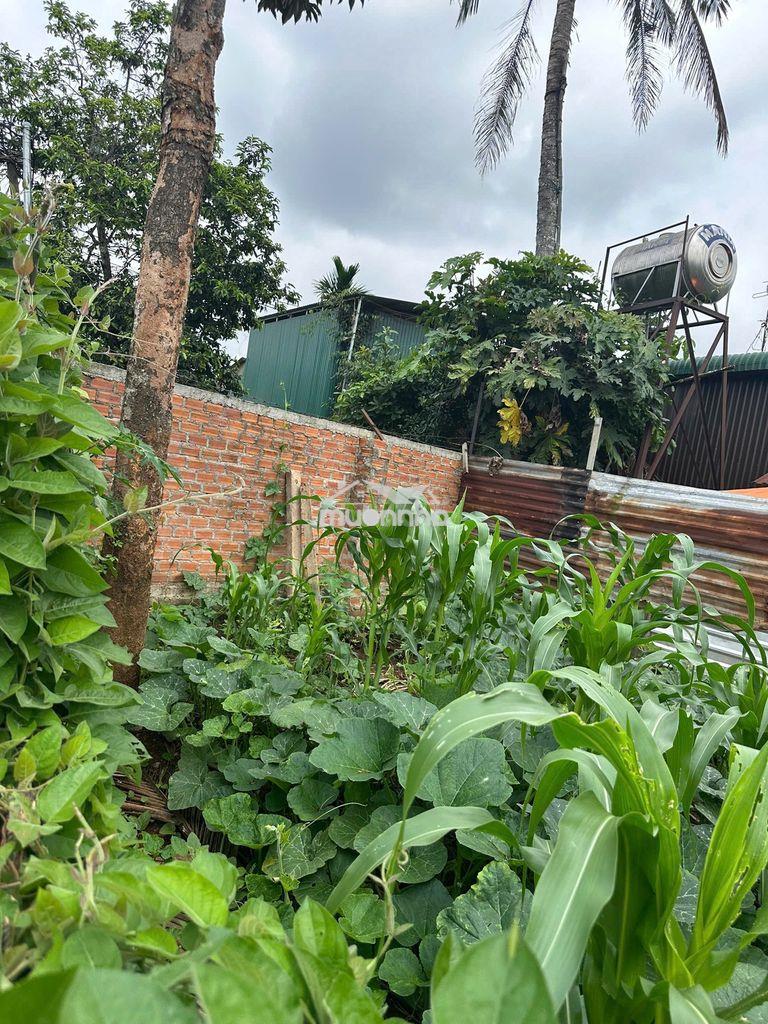 Đất nguyễn xuân nguyên nối dài 5 x 28 giá 1,37 tỷ - 2