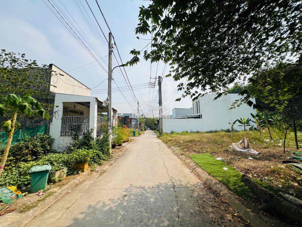 Đất 100m2 chùa phổ quang giá ngộp 1,7 tỷ sổ sẵn đường bàn cờ 6m thông - 3