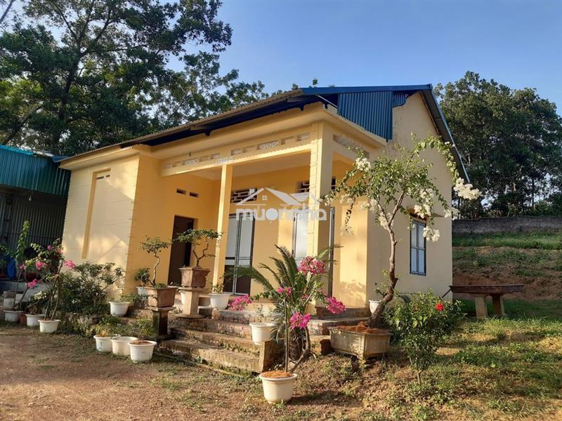 Cần bán nhà vườn 2193m² chính chủ - ba vì, hà nội