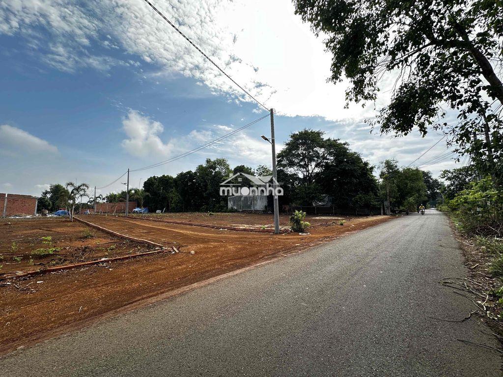 Đất sổ riêng-thổ cư đông hoà tp đồng nai - 4