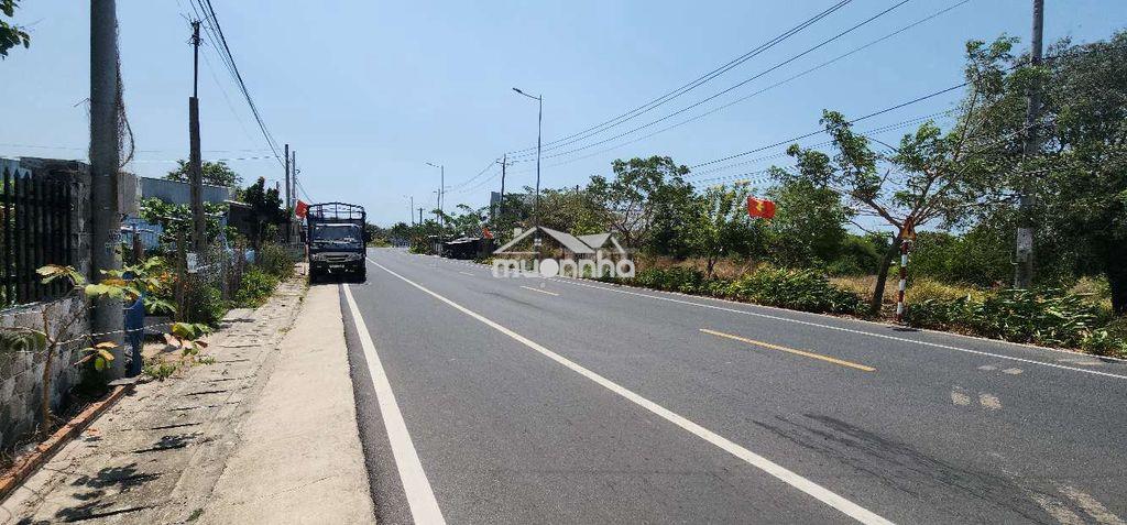 1000m2 mt dt998 hồ tràm, đất vuông vức, nở hậu. tiện làm homestay ở - 2