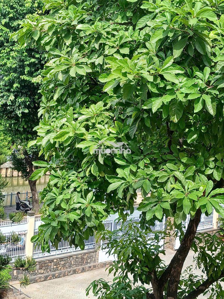 Cho thuê nhà hẻm trường sa - 4