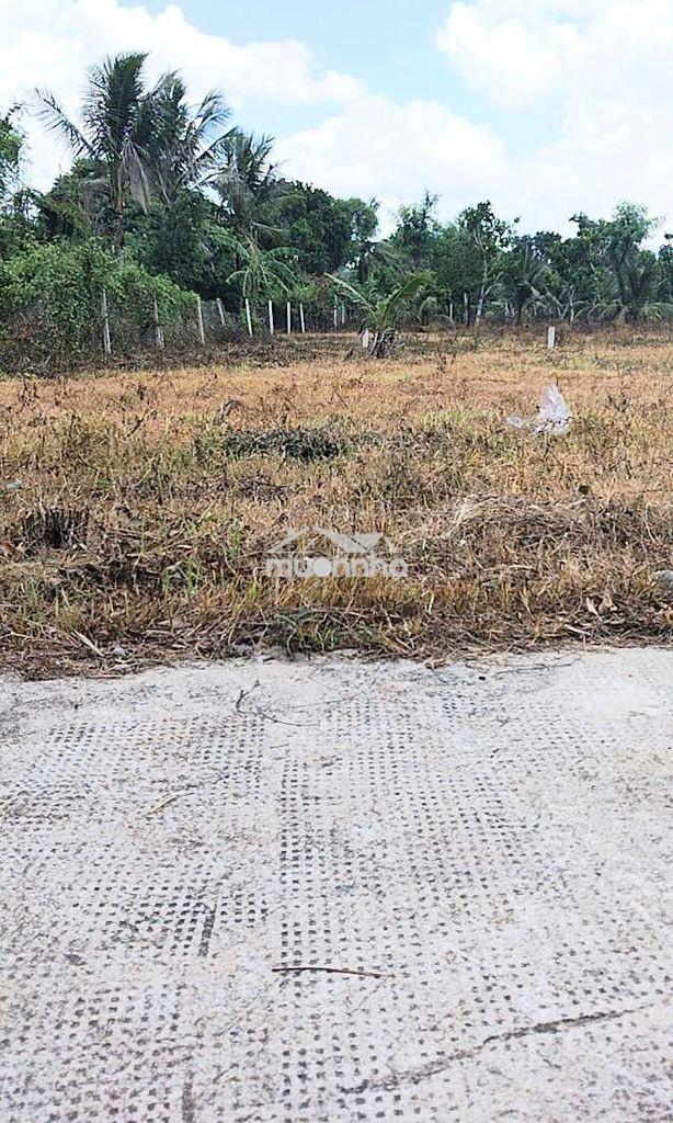 Đất nền thổ cư trung tâm phường bảo vinh - 3